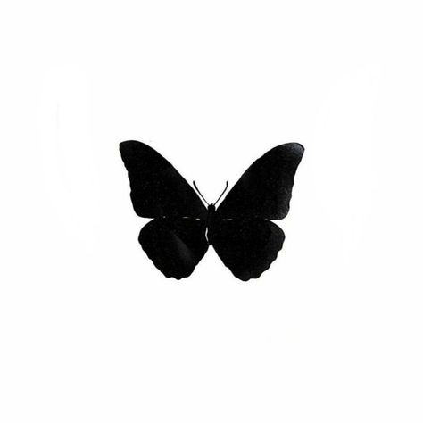 Black Butterfly Icon, Ios Png, Pngs Icons, Chloe Moriondo, Solid Black Tattoo, Hand And Finger Tattoos, Overlays Instagram, Cute Tiny Tattoos, Tattoo Style Drawings