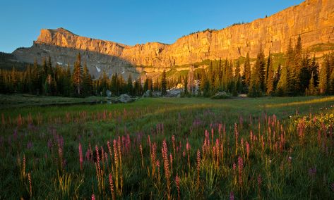 The elusive American wilderness: in search of my own private Idaho Bear Tracks, Sawtooth Mountains, My Own Private Idaho, Chinese Wall, Idaho, Monument Valley, Montana, Beautiful Pictures, Places To Visit