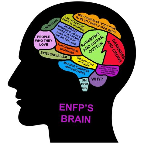 ENFP brain Personalidad Enfp, Enfp And Infj, Enfp Personality, Enfp T, Myers Briggs Personality Types, Myers–briggs Type Indicator, Myers Briggs Personalities, Myers Briggs Type, 16 Personalities