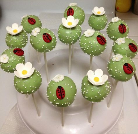 Insect Cake Pops, Ladybug Cakepops, Garden Cake Pops, Bug Cake Pops, Spring Cake Pops, Ladybug Cake Pops, Ben And Holly Party Ideas, No Bake Cake Pops, Ladybug Cakes