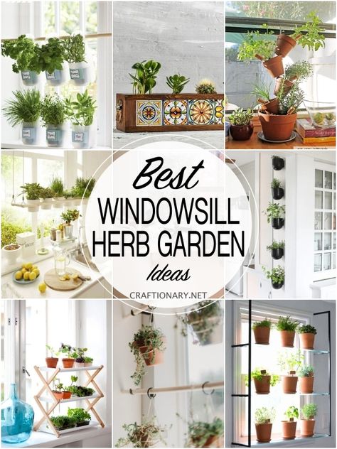 Learn how to grow a successfully planted herb garden from seeds indoors in your windowsill in the kitchen with creative ideas for home. Diy Herb Indoor Garden, Grow Indoor Herbs, Growing Herbs In Kitchen Window, Diy Window Herb Garden, Growing Herbs Indoors Ideas, Kitchen Herbs Ideas, How To Grow Herbs Inside, Herb Pots Indoor Window Sill, Window Herbs Kitchen