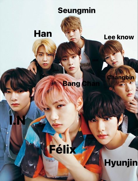 Want to stan stray kids but don’t know the members names ? Here it is, the names of the eight stray kids members ! Stray Kids Members, Kpop Profiles, Kids Groups, Facts For Kids, Youtube Kids, Pop Bands, Felix Stray Kids, Crazy Kids, Lee Min