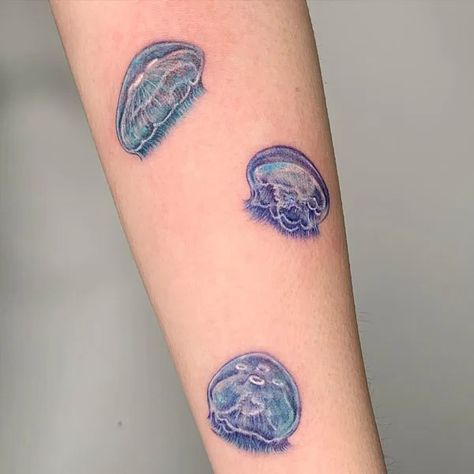 Jellyfish And Starfish Tattoo, Moon Jelly Tattoo, Moon Jellyfish Tattoo, Smol Tattoos, Teeny Tattoos, Octopus Thigh Tattoos, Colored Tattoos, Ocean Sleeve, Starfish Tattoo