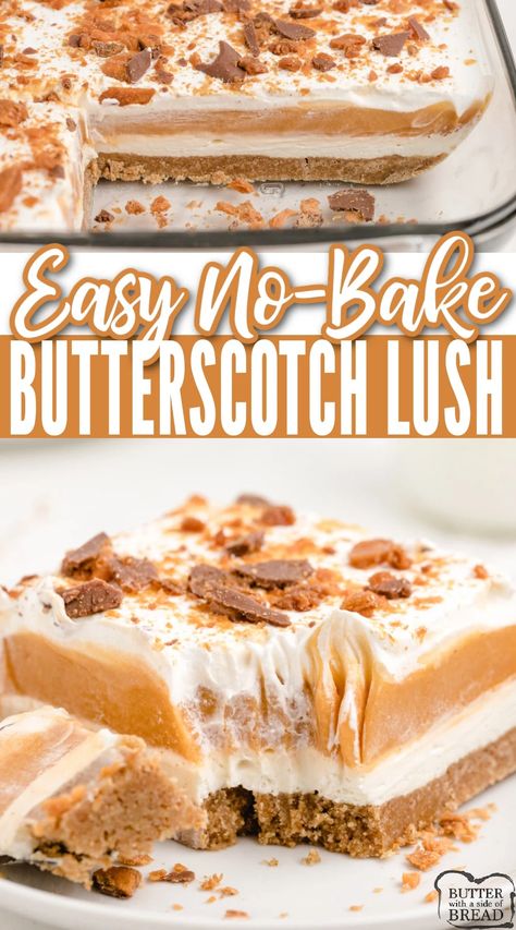 Butterscotch Lush is a no bake dessert made with a graham cracker crust topped with layers of sweetened cream cheese and butterscotch pudding. Simple butterscotch dessert that is assembled in minutes! Butterscotch Pudding Dessert, Butterscotch Lush, Butterscotch Desserts, Butterscotch Recipes, Lush Dessert, Lush Recipes, Cream Cheese Desserts, Fluff Desserts, Healthy Summer Desserts