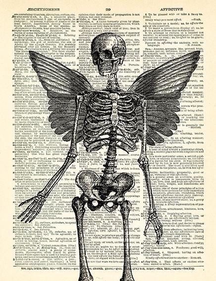 Lovely Bones, Vintage Anatomy, Skull Art Print, Grunge Posters, Istoria Artei, Dictionary Art, Skeleton Art, Skeleton Print, Picture Collage Wall