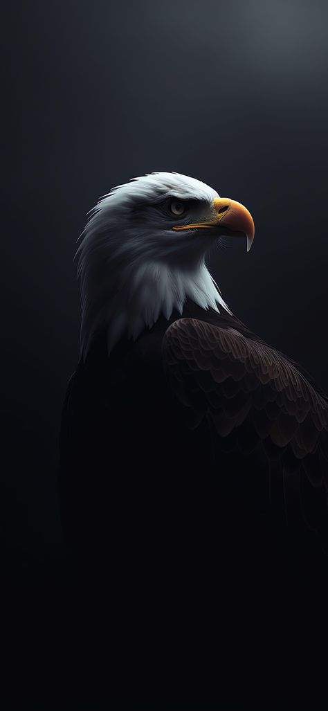 Samsung Lockscreen, Bayern Munich Wallpapers, Destiny Quotes, Galaxy Aesthetic, Eagle Images, Diamond Skull, Eagle Wallpaper, Nature Iphone Wallpaper, Amoled Wallpapers