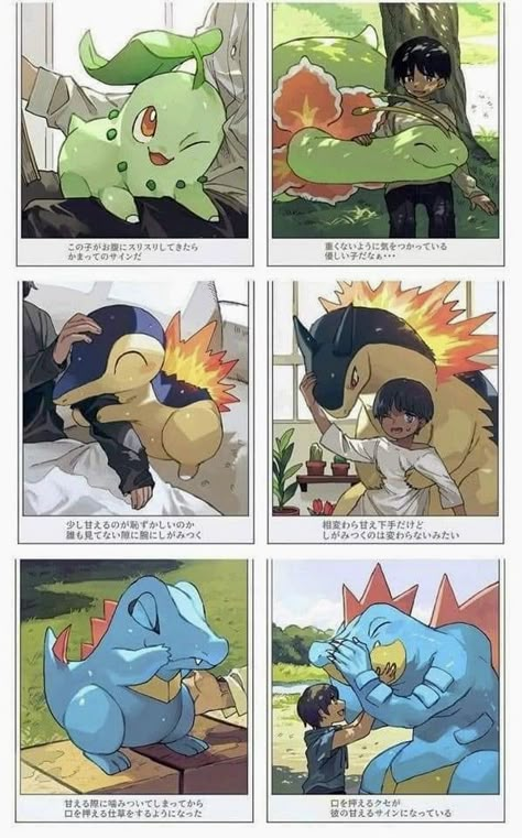 Kartu Pokemon, Pokemon Fusion Art, Pokémon Fanart, Pokemon Breeds, Oc Pokemon, Pokemon Manga, Images Kawaii, Pokemon Oc, Cute Pokemon Pictures