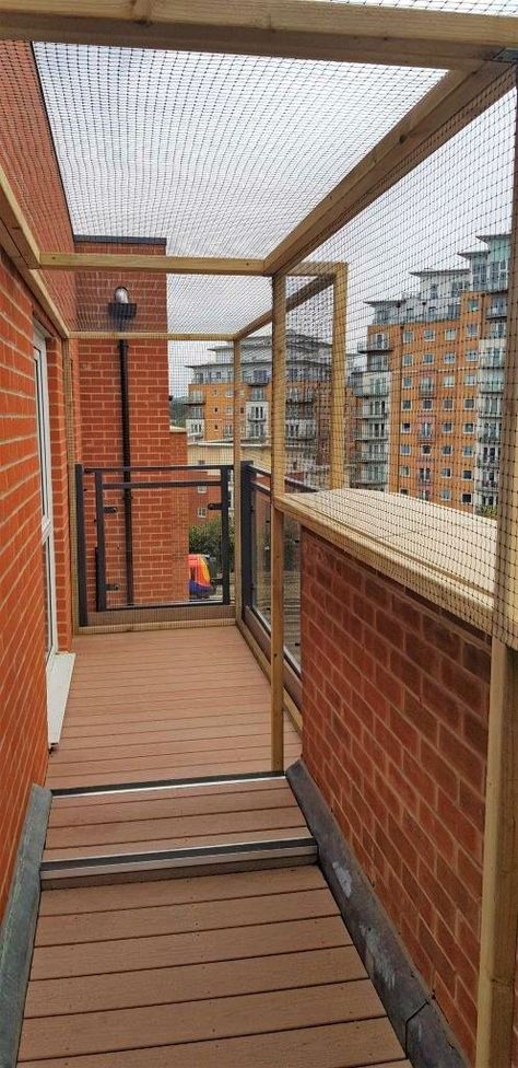 Catio Ideas Balcony, Cat Balcony Enclosure, Catio Ideas Cat Balcony, Balcony Catio Cats, Apartment Balcony Catios, Cat Balcony Ideas, Balcony For Dogs, Balcony Catios, Balcony Enclosure