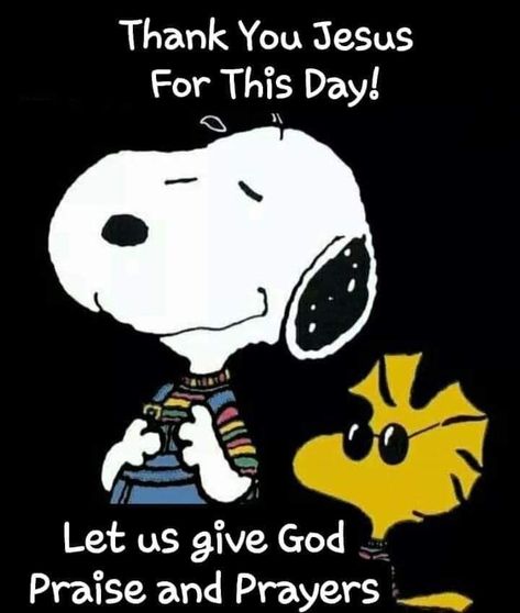 Thursday Meme, Thursday Greetings, Good Morning Snoopy, Happy Thursday Quotes, Snoopy Cartoon, Thursday Quotes, Snoopy Funny, Happy Morning Quotes, Snoopy Images