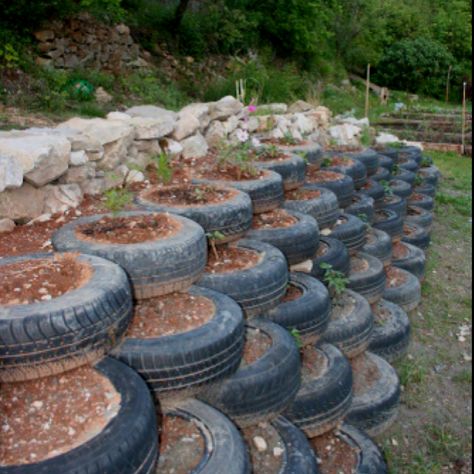 Tires steps, for the sloped part of my back yard? Recycled Tyres, Tire Steps, Tire Garden, Hillside Landscaping, Tyres Recycle, Used Tires, Planter Design, Old Tires, Earthship