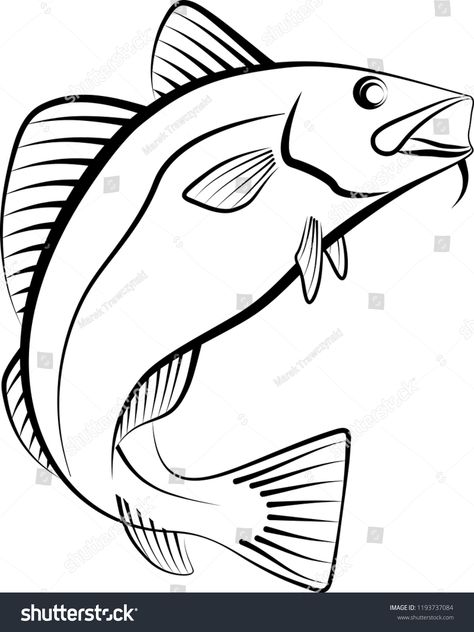 Cod Fish Drawing, Drawings Of Fish, Drawing Of A Fish, Fish Jumping Out Of Water, Drawing Fish, Fish Coloring Page, Water Drawing, Creative Presentation, Fish Illustration