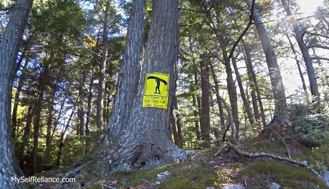 Rod and Gun Shawn James, Algonquin Provincial Park, Outdoor Pics, Canadian Wilderness, Ontario Parks, Site Sign, Reference Board, Algonquin Park, Off Grid Cabin