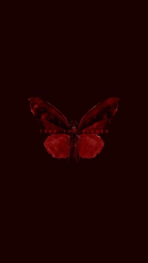 Wallpaper Red And Black, Wallpaper Vermelho, Red And Black Wallpaper, Dark Red Wallpaper, Red Butterfly, Wallpaper Red, Red Wallpaper, Red Aesthetic, Black Wallpaper