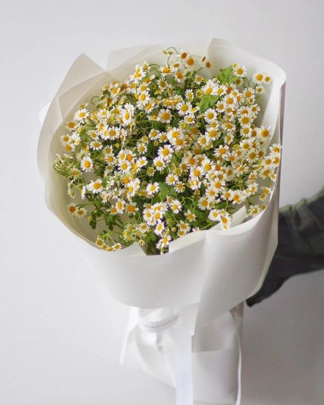 Chamomile Bouquet, Amaryllis Bouquet, Flower Projects, Diy Bouquet Wrap, Bouquet Gift, Flowers Bouquet Gift, Bouquet Wrap, Bouquet Ideas, Flower Therapy