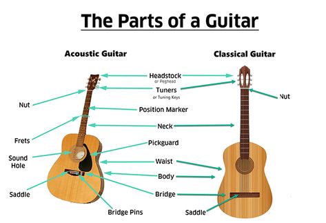 Guitar Anatomy, Guitar Basics, Teach Yourself Guitar, Bass Guitar Straps, Guitar Logo, Learning Guitar, Guitar Scales, Easy Lessons, Best Acoustic Guitar