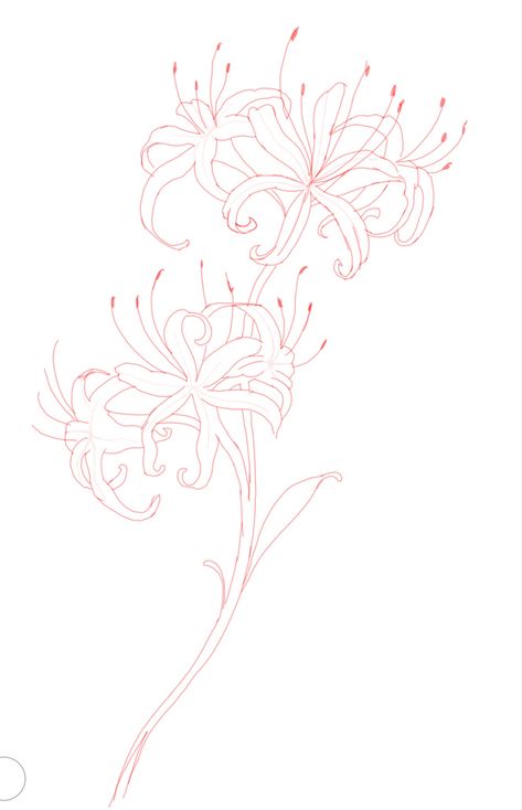 Spider Lilies Tattoo Design, Red Spider Lily Flower Drawing, Spider Lily With Spider Tattoo, Spider Lily Behind Ear Tattoo, Simple Spider Lily Tattoo, Spider Lily Stencil, Spiderlily Drawing Sketches, Demon Slayer Eyes Tattoo, Red Spider Lily Drawing Easy