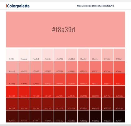 Pantone Color Book, Space Information, Pantone Red, Turquoise Color Palette, Hexadecimal Color, Beige Color Palette, Hex Color, Pantone Colour Palettes, Hex Color Palette