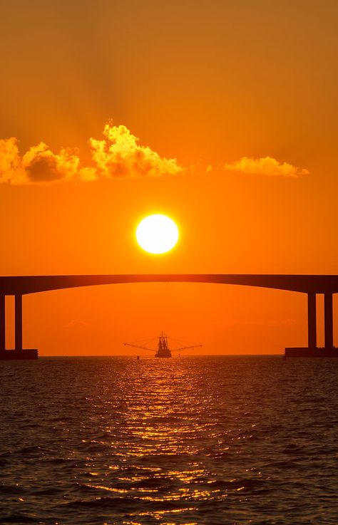 Home | Town of Dauphin Island | Coastal Alabama Dauphin Island Alabama, Dauphin Island, Home Town, Gulf Coast, Vacation Destinations, Beach Vacation, Alabama, Road Trip