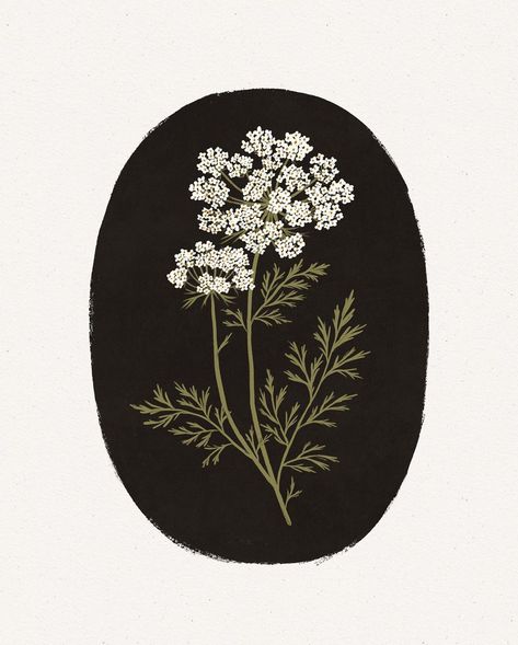 Queen Anne’s Lace 🖤 . . . . . . . . . . . #wildcarrot #queenanneslace #wildflowers #wildflower #flowerstagram #inspiredbypetals… | Instagram Queen Anne's Lace Flowers, Lace Painting, Instagram Queen, Tattoo Art Drawings, Pretty Prints, Queen Anne, Botanical Illustration, Drawing Inspiration, Letterpress