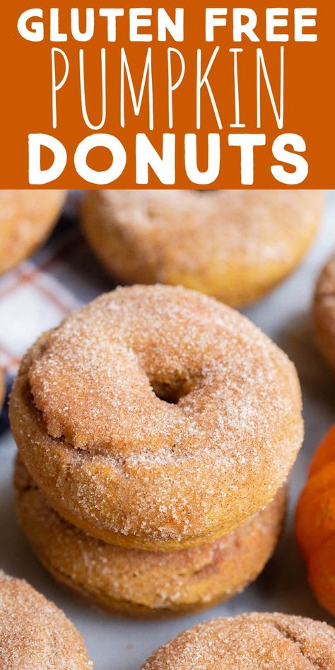 These Baked Gluten Free Pumpkin Donuts are topped with melted butter and a sweet cinnamon sugar mixture. The batter comes together quickly and all you need is a donut pan to bake these cuties right up! Enjoy these festive fall baked donuts for breakfast, snacks or dessert. #pumpkindonuts #glutenfree #pumpkinrecipe #bakeddonut #breakfast Gluten Free Pumpkin Recipes Healthy, Pumpkin Donuts Recipe, Gluten Free Pumpkin Recipes, Gluten Free Pumpkin Muffins, Pumpkin Recipes Healthy, Donuts Recipe, Pumpkin Recipes Dessert, Baked Donuts, Gluten Free Pumpkin