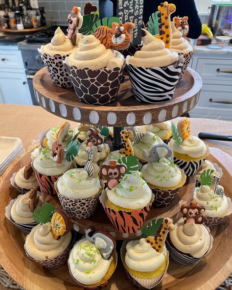 Made some safari cupcakes for my nieces baby shower. Safari Themed Cupcakes, Cupcake Safari Theme, Wild One Safari Cupcakes, Boho Safari Cupcakes, Jungle Cupcakes Safari, Safari Cupcakes, Themed Cupcakes, Baby Shower, Shower