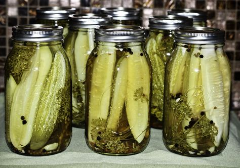 The Ultimate Classic Kosher Dill Pickle Recipe Mavis Butterfield Recipes, Kosher Dill Pickle Recipe, Pickling Crock, Dill Pickle Vodka, Homemade Pickles Dill, Pickle Vodka, Kosher Dill Pickles, Dill Pickle Recipe, Homemade Ham