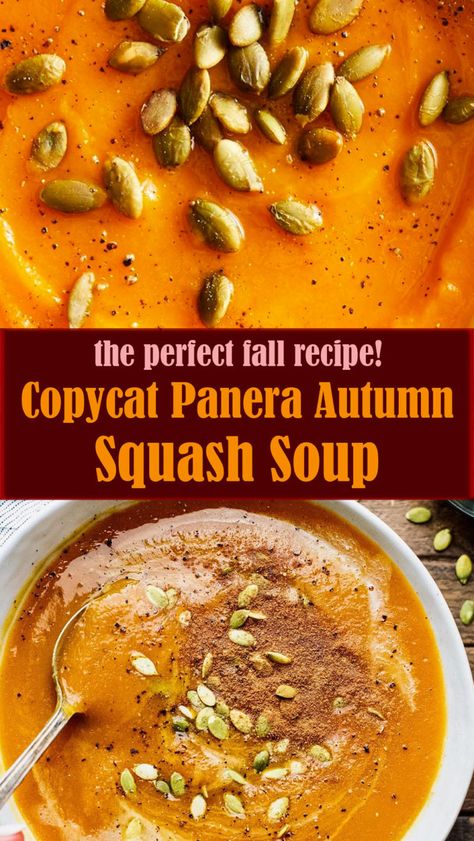 Copycat Panera Autumn Squash Soup – Reserveamana Panera Butternut Squash Soup Recipe, Rainy Day Crock Pot Meals, Autumn Squash Soup Panera, Butternut Soup Recipe Creamy, Fall Squash Soup, Panera Butternut Squash Soup, Panera Autumn Squash Soup Recipe, Panera Squash Soup, Autumn Squash Soup Recipe