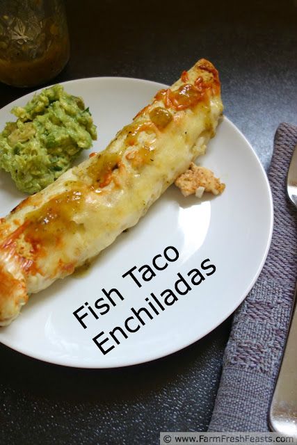 Fish Enchiladas Recipe, Taco Enchiladas, Swai Recipes, Baked Fish Tacos, Mexican Enchiladas, Pescetarian Recipes, Fish Taco, Enchiladas Recipe, Eat Fresh