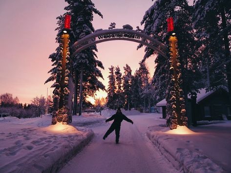 Exploring Lapland, Finland (Ranua Wildlife Park) 📷 by William Hole. Ranua Finland, Lapland Finland, Wildlife Park, Adventure Photography, Beautiful World, Finland, Travel Photography, Photo And Video, Instagram Photo