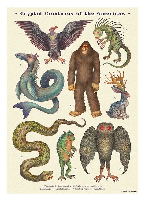 .@ArtRusDesign describes his book The Illustrated Encyclopedia of Cryptozoology as a "blend of science and fantasy, vintage and modern, it is a visual guide to the world that lurks beyond our current knowledge of nature." https://on.be.net/3y2anHu Encyclopedia Illustration, Myths & Monsters, Pencil Watercolor, Legends And Myths, Loch Ness Monster, Pattern Sewing, Mythological Creatures, Illustration Graphic Design, Book Projects