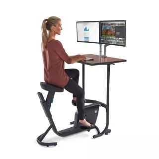 Bike Office, Treadmill Desk, Stationary Bicycle, Desk Workout, Recumbent Bike Workout, Senior Project, Work Station Desk, Exercise Bike, Traditional Chairs