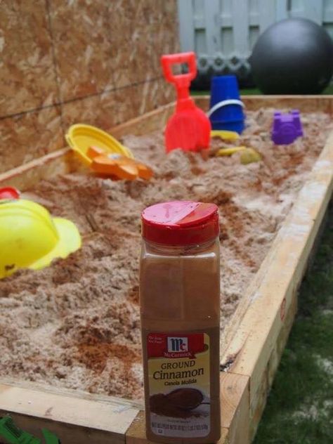 You can keep bugs out of the sandbox by adding an all-natural bug repellent: CINNAMON! Cat Playground Outdoor, Kids Sandbox, Cat Playground, Natural Insect Repellant, Bug Repellent, Backyard Fun, Sandbox, 4 Kids, Patio Ideas