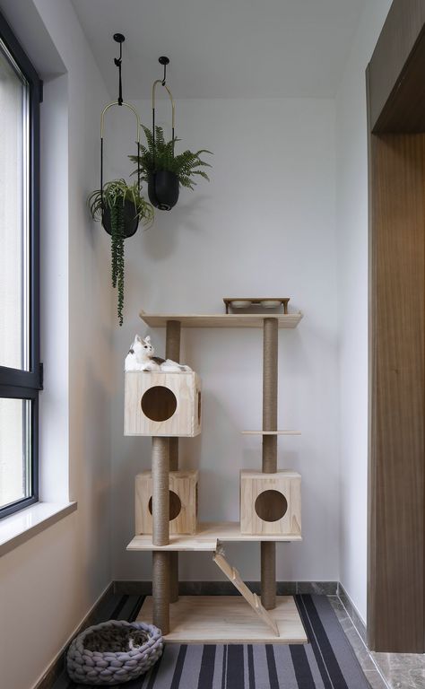 Cat Apartment Ideas, Apartment Cat Ideas, Apartment Cat, Diy Cat Scratcher, Diy Cat Tower, Cat Apartment, Chat Diy, Cat Projects, Diy Cat Tree