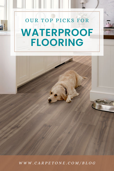 best-waterproof-flooring-options Basement Flooring Waterproof, Floor Options, Pet Friendly Flooring, Basement Flooring Options, Best Vinyl Flooring, Indoor Dog Kennel, Waterproof Laminate Flooring, Laundry Room Flooring, How To Waterproof Wood