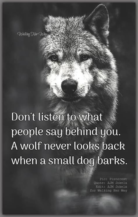 Wolf Pack Quotes, Inspirational Animal Quotes, Lone Wolf Quotes, Wolf Stuff, Wolf Quotes, Strong Mind Quotes, Wolf Spirit Animal, Wolf Love, Wolf Spirit