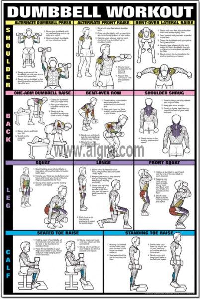 Dumbbell Workout II Poster (Shoulder, Back, Leg & Calf) Inner Leg Workout, Fitness Studio Training, Gym Antrenmanları, Dumbell Workout, Muscle Abdominal, Fitness Routines, Workout Posters, Workout Chart, Bodybuilding Training