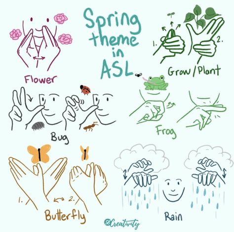 English Sign Language, Asl Words, Simple Sign Language, Sign Language Art, Asl Sign Language Words, Braille Alphabet, Sign Language Chart, Nature Exploration, Sign Language Lessons