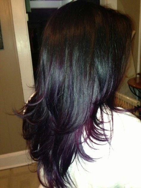 Purple Ends On Black Hair, Plum Hair Highlights, Ombre Purple Hair, Black Hair With Purple, Black And Purple Hair, Purple Highlights Brown Hair, Purple Hair Streaks, Purple Black Hair, Purple Brown Hair