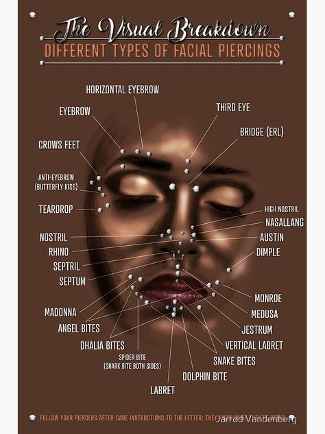 Facial Piercing Infographic Chart Poster Piercing No Rosto, Piercings Corps, Piercing Facial, Spiderbite Piercings, Facial Piercing, Bridge Piercing, Types Of Facials, Ear Piercings Chart, Piercing Chart