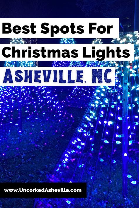 Best Spots For Christmas Lights In Asheville, NC with blue, purple, and white lit trees from Winter Lights at the NC Arboretum Best Christmas Lights, Christmas Light Displays, Asheville Nc, Planning Guide, Asheville, Light Display, Magical Places, Holiday Spirit, Book Lists