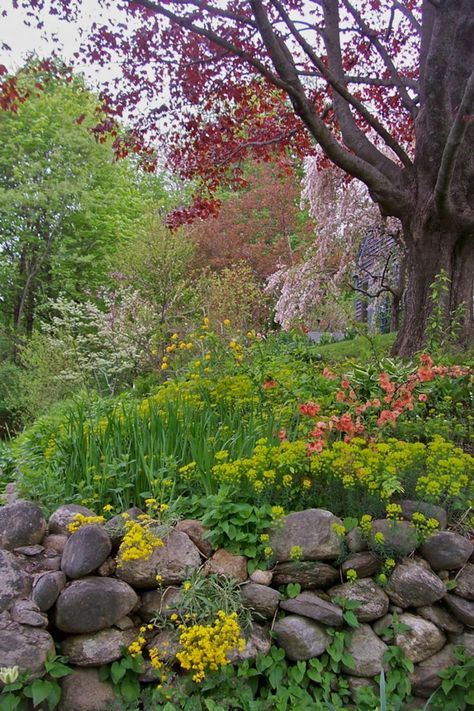 Rock Wall Gardens, New England Garden, Lake Garden, Hot Tub Garden, Native Plant Gardening, Rock Garden Landscaping, Fine Gardening, Garden Images, Native Garden