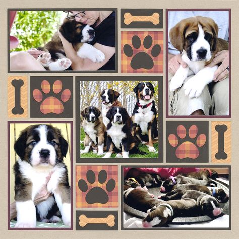 Our pets are like our children ... we love them unconditionally, we spoil them and we take tons of photos of them. So, why not scrapbook them? Here are 11 pet layouts to provide you with some unique ways to ...  Read More The post 11 Pet Scrapbook Pages You will Adore appeared first on Mosaic Moments Page Layout System. Layout System, Dog Scrapbook Layouts, Pet Scrapbook Layouts, Family Scrapbook Layouts, Mosaic Moments, Dog Scrapbook, Scrapbook Design Layout, Beautiful Scrapbook Layouts, Scrapbook Pictures