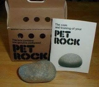 Yes I had one and got it at Bloomingdales. Long long ago in another dimension. Pet Rock, Carrying Boxes, 70s Nostalgia, Pet Rocks, Good Ole, Happy Memories, Do You Remember, Google Home Mini, The Good Old Days