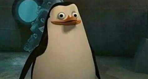 Pinguin Meme, Madagascar Meme, Penguin Meme, What Meme, Penguins Of Madagascar, Humor Mexicano, That Moment When, Meme Template, You Funny