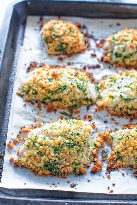 BAKED TILAPIA WITH GARLIC BREADCRUMBS Baked Breaded Tilapia, Ways To Cook Fish, Breaded Tilapia, Cook Fish, Baked Tilapia, Tilapia Recipes, Dinner Meal Prep, How To Cook Fish, Sunday Meal Prep