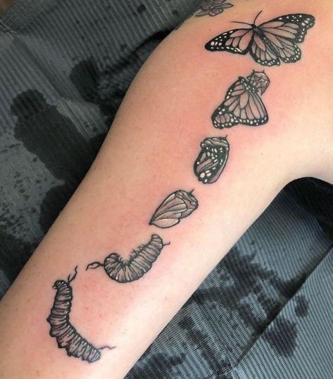 Butterfly Hatching Tattoo, Caterpillar Cocoon Butterfly Tattoo, Catapillar To Butterfly Tattoo, Caterpillar Turning Into Butterfly Tattoo, Butterfly Emerging From Cocoon Tattoo, Butterfly Stages Tattoo, Catipillar To Butterfly Tattoo, Butterfly Evolution Tattoo, Butterfly Coming Out Of Cocoon Tattoo