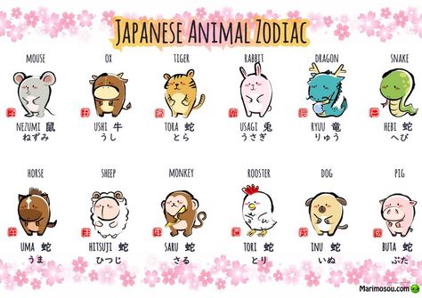 Japanese Animal Zodiac Poster. Great for a mini poster for the classroom. More resources can be found at marimosou.com. #JapaneseWordList #JapaneseAnimalWordList #JapaneseLanguagePoster #JapaneseZodiacPoster #JapaneseAnimalZodiacPoster Japanese Zodiac, Japanese Zodiac Signs, Month Animals, Japanese Animals, Basic Japanese Words, Learn Japanese Words, 12 Zodiac, Zodiac Signs Horoscope, School Study Tips