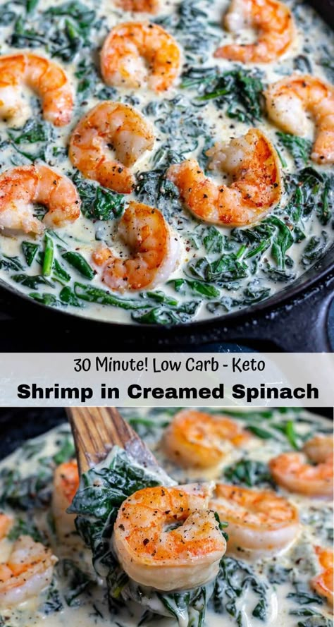 Spinach With Cream Cheese, Shrimp And Spinach, Spinach Cream Sauce, Easy Low Carb Dinner, Fish Dinners, Breaking Fast, Seafood Dinners, Cream Cheese Sauce, Cream Sauce Recipe