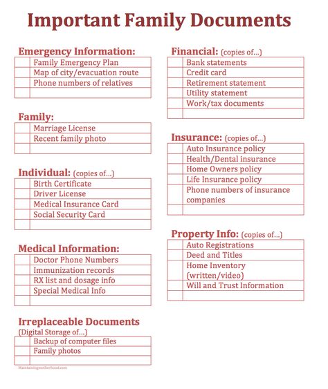 Do you have all your important documents in one place in case of an emergency? Use this simple checklist to create your own Grab and Go Emergency Binder. Document Binder Organization, Binder Organization Ideas, Emergency Documents, Emergency Checklist, Life Organization Binder, Family Emergency Plan, Document Organization, Final Wishes, Family Emergency Binder