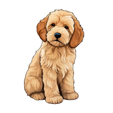 Goldendoodle Drawing, Golden Doodle Cartoon, Cockapoo Cartoon, Labradoodle Drawing, Golden Doodle Clipart, Cartoon Labradoodle, Goldendoodle Coloring Page, Cute Goldendoodle, Cartoon Goldendoodle